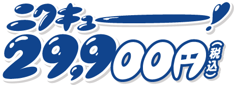29,900円(税込)