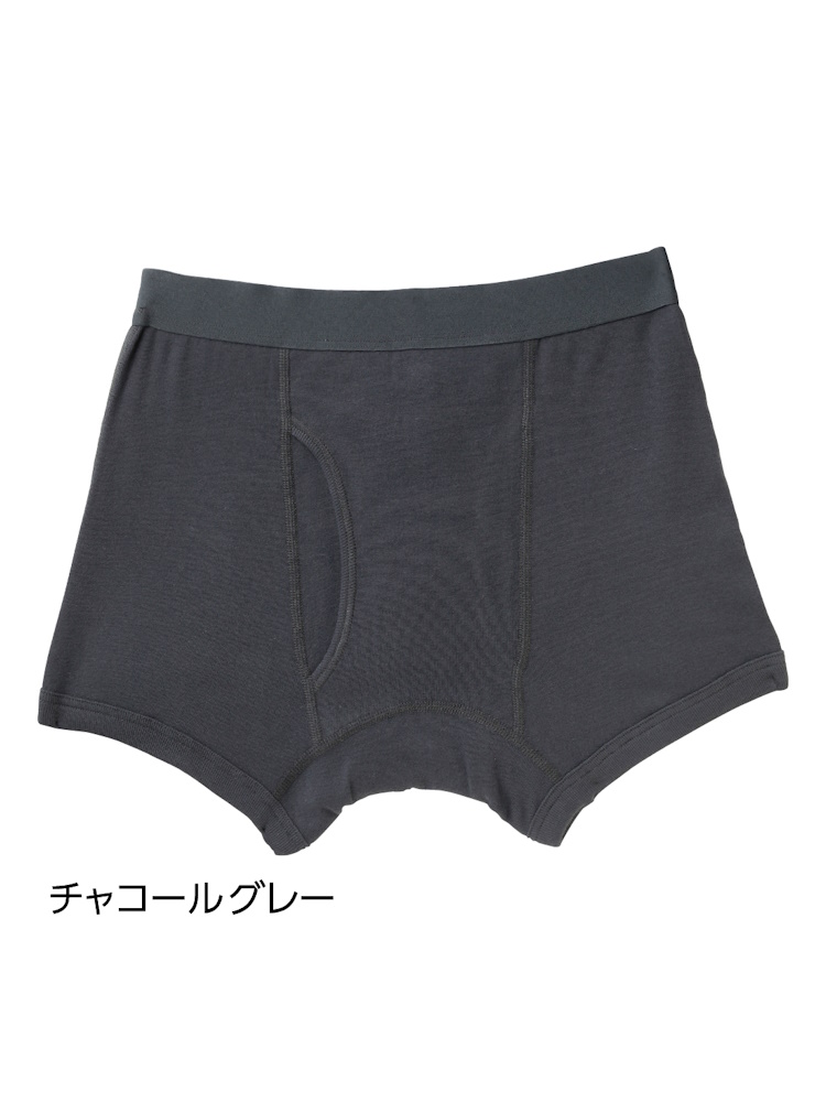 C.グレー 安心快適ボクサーブリーフ(2枚組)2 吸水量20cc 大きめサイズ/紳士用/メンズ/下着/尿漏れ/消臭/抗菌/滲み防止/前開き 【CF】 | はるやま公式通販